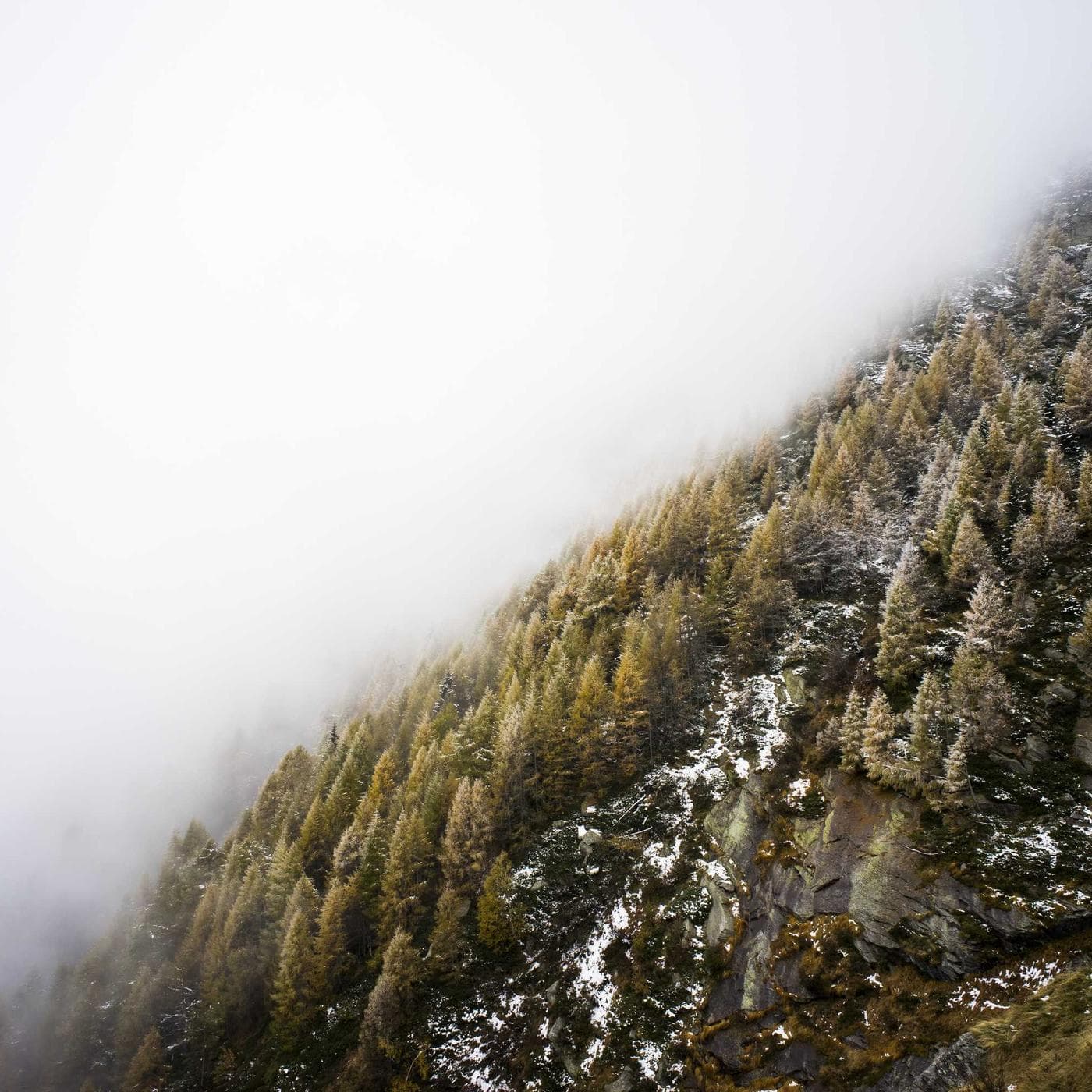Portfolio sample from Dev Acharya