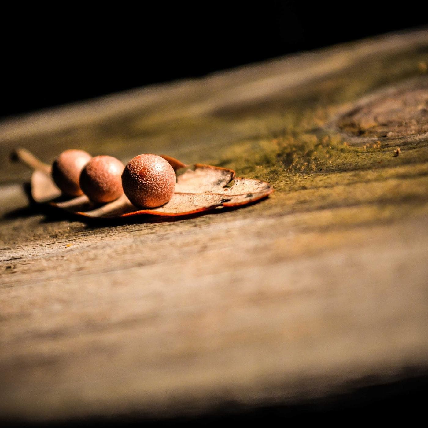 Dev Acharya portfolio image 1