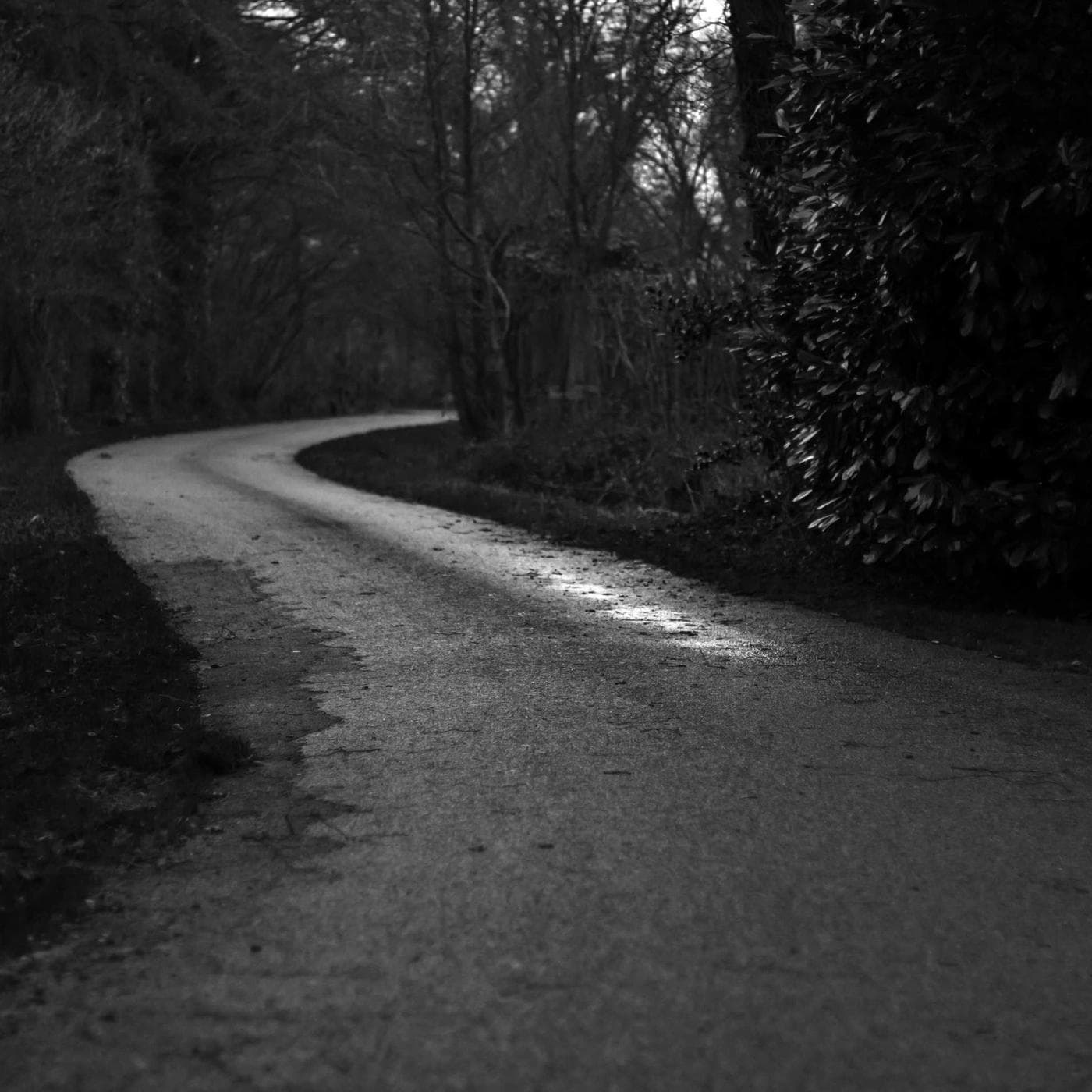 Sam Brightwater portfolio image 3